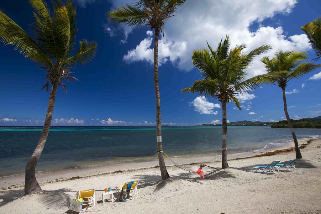 Sugar Beach Condominiums Resort Christiansted Exteriér fotografie